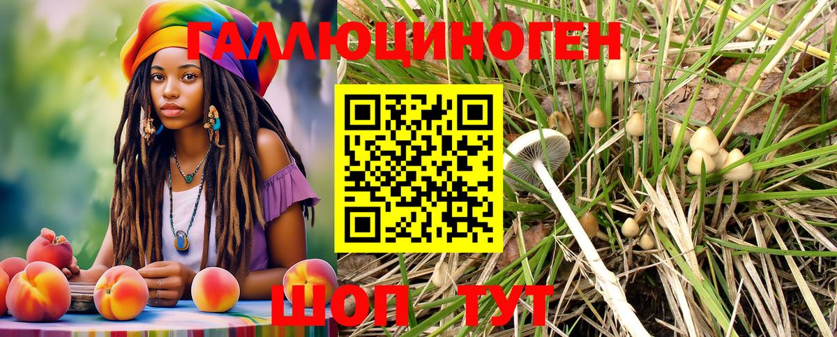 Галлюциногенные грибы GOLDEN TEACHER  Вход с VPN  Мыски 